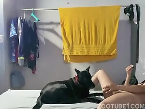 Foreplay with doggie