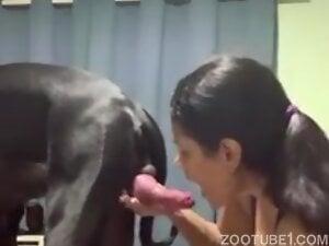 Slutty Latina Blowing Dog Online