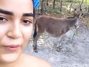 Pastoldetuirel Donkey Show