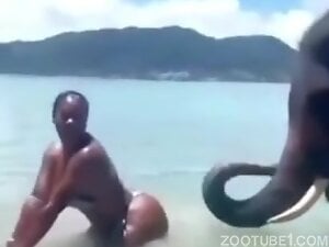 Africa, River and Sexy Elephant