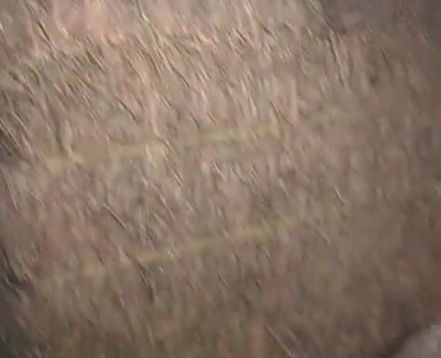 Farm anal sex