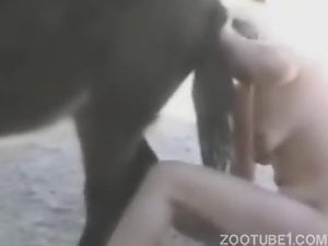 Blondie MILF gives her pony a bestiality rimjob