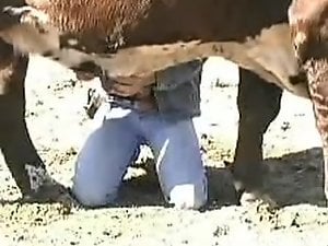 Cleared video of man having sex with sheep Pity, video of man having sex with sheep