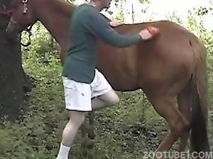 Horse gets nicely fucked in a tight asshole