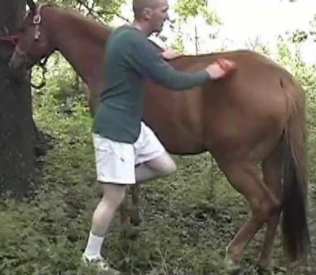 Guy horse fuck horse