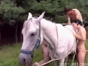 Having Sex With Animals Porn - Man and Animals Porn Videos / Longest / Page 2 / Zoo Tube 1