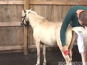 Awesome pony trained and fucked in the farm