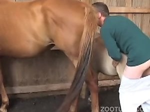 Man Having Sex With Horse - Man and Animals Porn Videos / Most Viewed / Page 2 / Zoo Tube 1