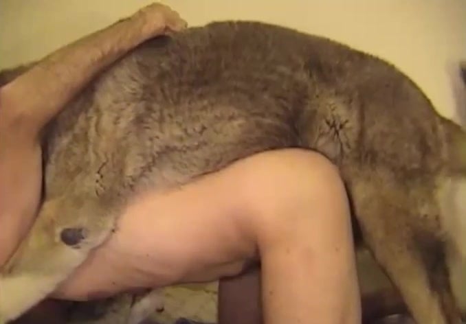 Bbq Dog Xxx Full Hd - Amateur animality XXX with a doggy and my hubby / Zoo Tube 1