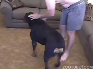Sucking meaty red dick of my lovely young doggy
