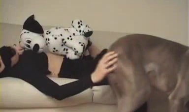 Fursuit hottie enjoying dog fucking with a black beast