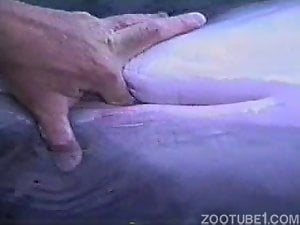 Wet dolphin pussy getting fingered in the water