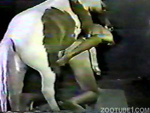 Black and white zoophile sex tape with lots of hot gape