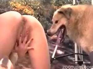 Blonde with big tits enjoys zoophilic sex here