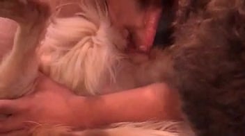 Generous lover makes this dog pussy orgasm big time / Zoo Tube 1