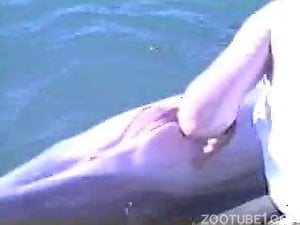 Dolphin cock exposed and pleasured heavily by a guy