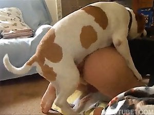 Round booty zoophile gets fucked deep by a mutt