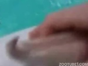 Guy strokes that dolphin dick before sucking on it