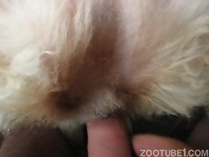 Amazing sex scene featuring a really hot animal