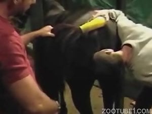 Guy buries his face in a mare's cavernous pussy