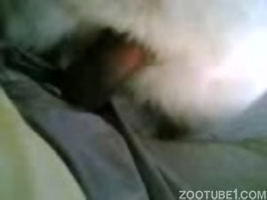 Dude's colossal penis invades that tight hole in POV