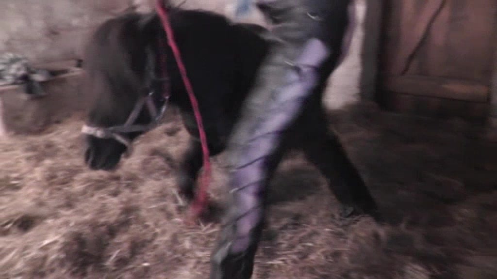 Video sexo gratis dormindo Pônei gozando na buceta da mulher