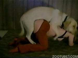 Sexy white animal fucks chick's hot pussy on all fours