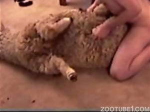 Man Fucks Snake Porn - Man and Animals Porn Videos / Most Viewed / Page 6 / Zoo Tube 1