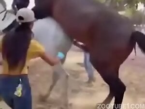 Helping Hand for Stallion