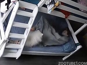 Dogsex Moments on Spycam 1