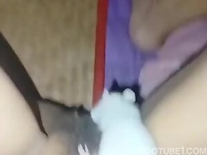 Mouse Licking Pussy 2