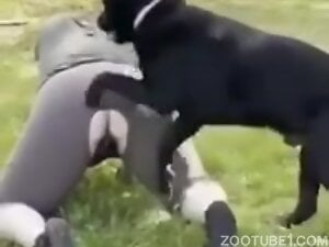 Thick Milf With Black Lab Outdoors 2