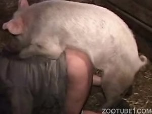 Sexy pig fucking a dirty brunette from behind