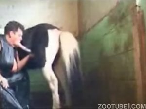 Leather wearing MILF sucks on a pony penis in the barn