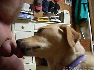Dude's cock getting licked by a brown animal