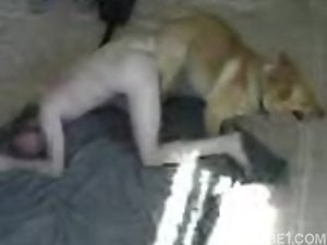 Thin zoophile getting fucked by a dog on all fours