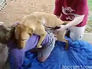 Big butt babe getting screwed by a sexy doggo