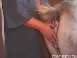 Fat amateur zoophile gets freaky with a mare cunt