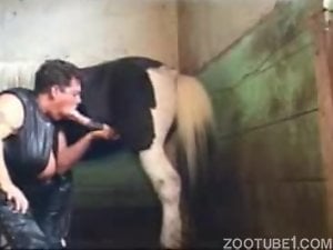 Massive stallion dick getting pleasured by a MILF