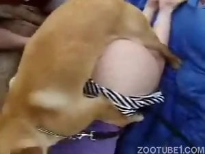 New porn movie featuring a big ass amateur and her dog