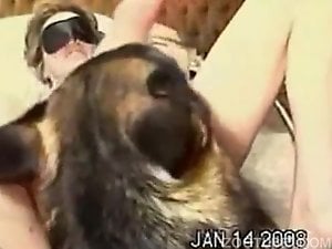 Awesome porno movie featuring a sexy brunette and dog