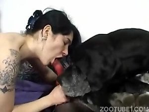 Horny brunette sucking on a dog's dick like crazy
