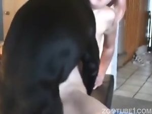Horny flexible lady getting fucked by a black dog