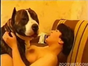Awesome porn movie with close up zoophilia with a dog