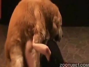 Redhead enjoys hot sex with a brown animal here