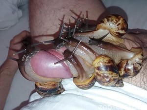 More snails, more cum