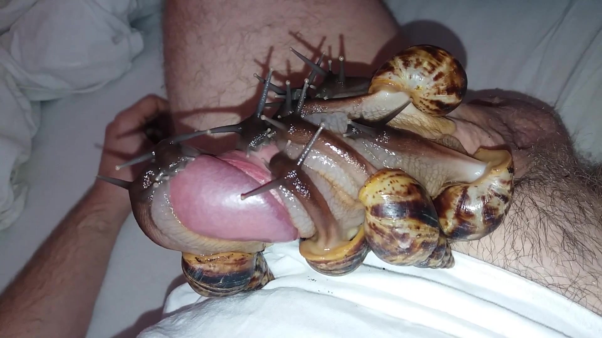 More snails, more cum