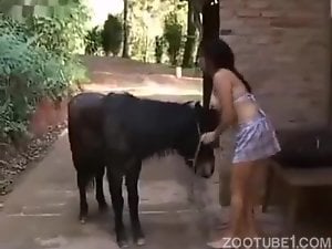 Latina and the donkey