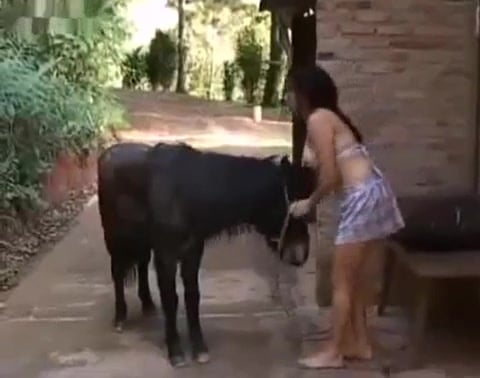 Latina and the donkey / Zoo Tube 1