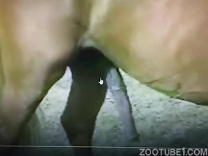 Man swallows horse sperm
